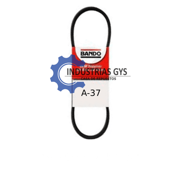 CORREA LIZA DE 1/2 X 37"